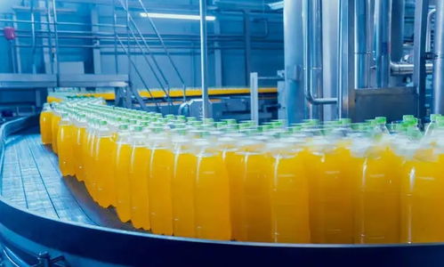 食品厂废水应该怎样处理才能排放达标 就得这么做
