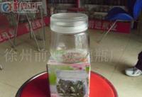 批发糖果 玻璃罐 糖果罐_包装_世界工厂网中国产品信息库